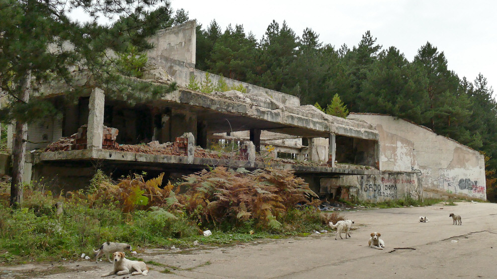 Bugojno, Bosna i Hercegovina - 25. oktobar 2016 : Titova vila Gorica kod Bugojna smjestena u borovj sumi sluzi kao skloniste za napustene zivotinje. Vila je docekala kraj rata neostecena. Sva devastacija dogodila se nakon rata. ( Srecko Stipovic - Anadolu Agency )