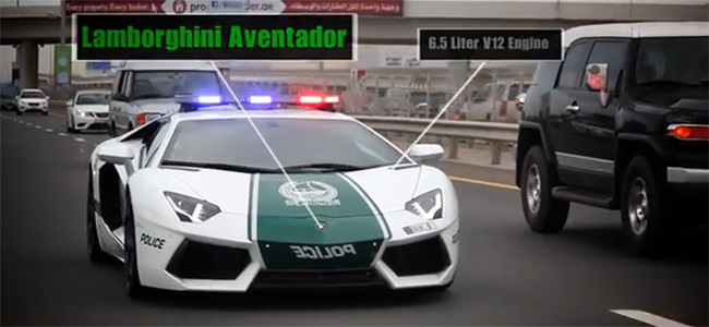 Šta znači biti policajac u Dubaiju (VIDEO), Life.ba