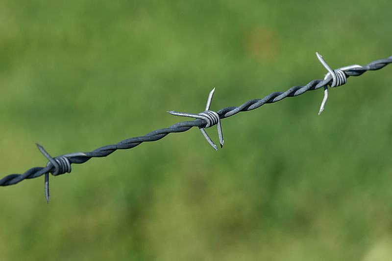 Bodljikava žica &#8211; od poljoprivredne ograde do simbola političkog razdvajanja, Life.ba