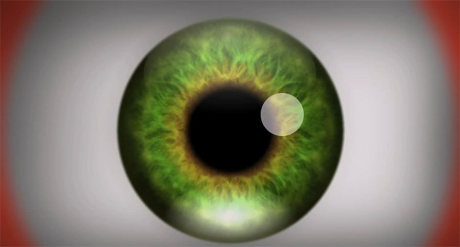 Optička iluzija koja izaziva halucinacije #video, Life.ba