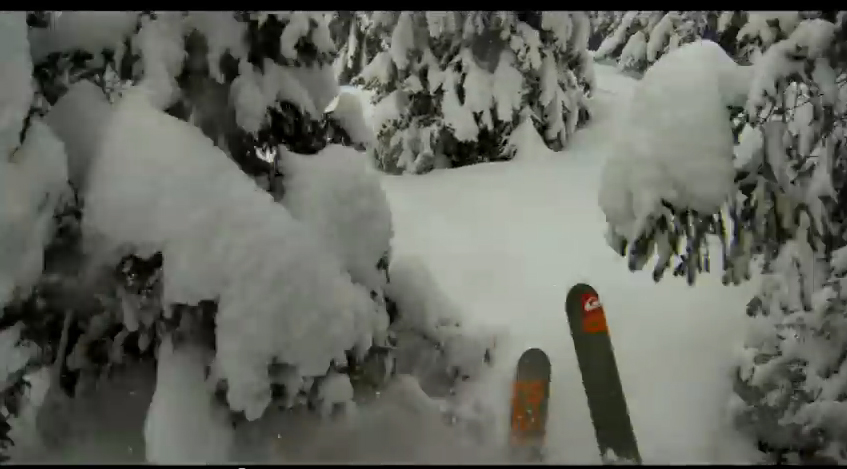 Skijanje kroz šumu, level &#8211; ekstremno #video, Life.ba