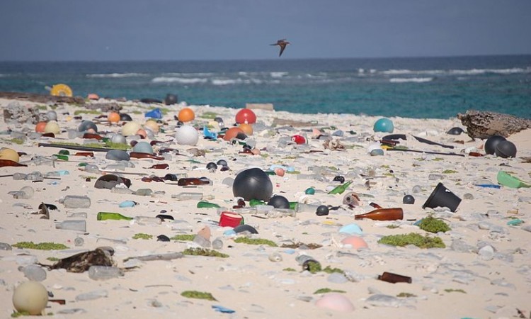 Break Free From Plastic: Coca Cola, Pepsi i Nestle najodgovornije za zagađenje plastikom, Life.ba