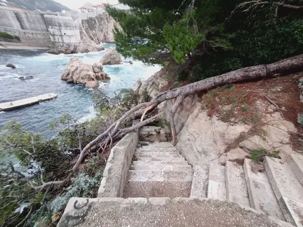 (FOTO) Strašna oluja pogodila Dubrovnik: Vjetar čupao stabla, Life.ba