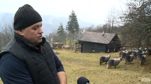 (VIDEO) Medvjed u Travniku provalio vrata i ušao u štalu, mještani u strahu: Ničeg se nisam bojao, sad ne smijem izaći iz kuće, Life.ba