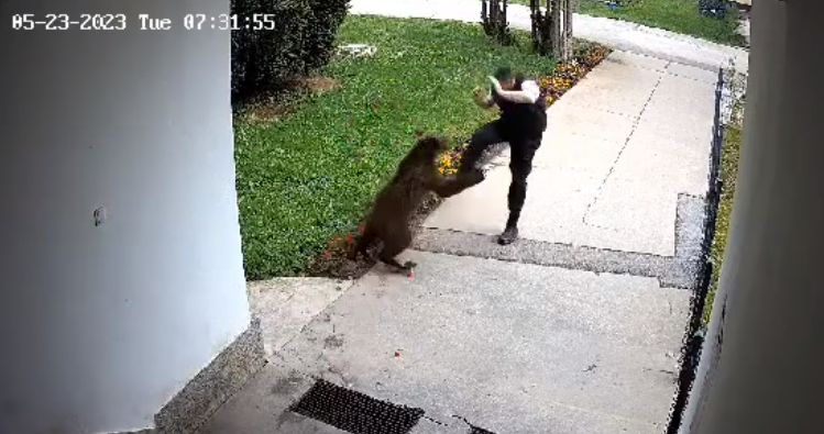 (VIDEO) Medvjed napao zaštitara, pogledajte njegovu reakciju, Life.ba