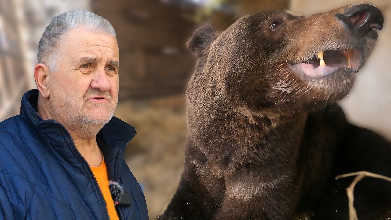 (VIDEO) Emin s medvjedima seli na Buško jezero, Life.ba